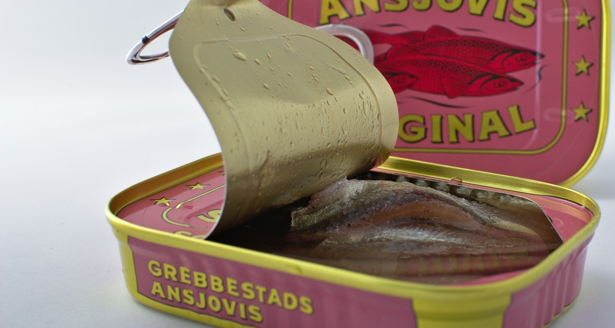 filetes de anchoa asturianos