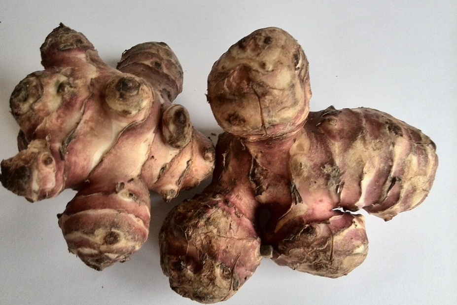Tupinambo